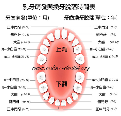 兒童長牙換牙